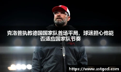 乐盈VI官网