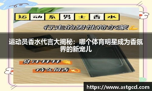乐盈VI
