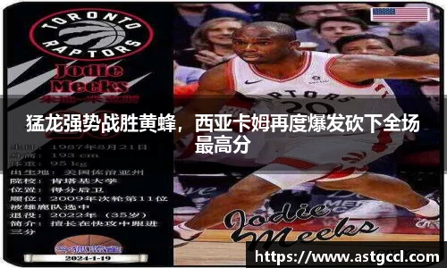 乐盈VI首页