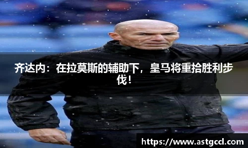 乐盈VI