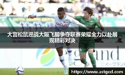 乐盈VI首页